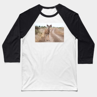 Kudu Antelope on Road - Krüger National Park, South Africa Baseball T-Shirt